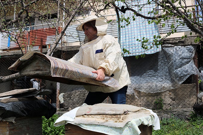  Haykush Hovhannisyan, Aghavnadzor community Women's Group, working on her beehives. Green Lane is providing her group with more equipment to create sustainable income. 