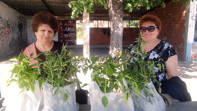 Rural women in Svrljig with their new seedlings from the organic food production training, organized by local Women's Councillors' Network. Photo: UN Women/Jelena Sekulic