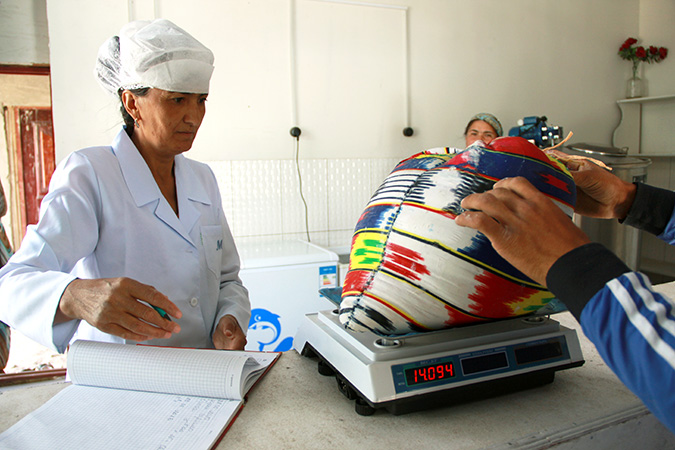 Aisulu Jenalieva is accepting “chakka” from local villagers that will turn into cheese. Photo: UN Women/Aijamal Duishebaeva 