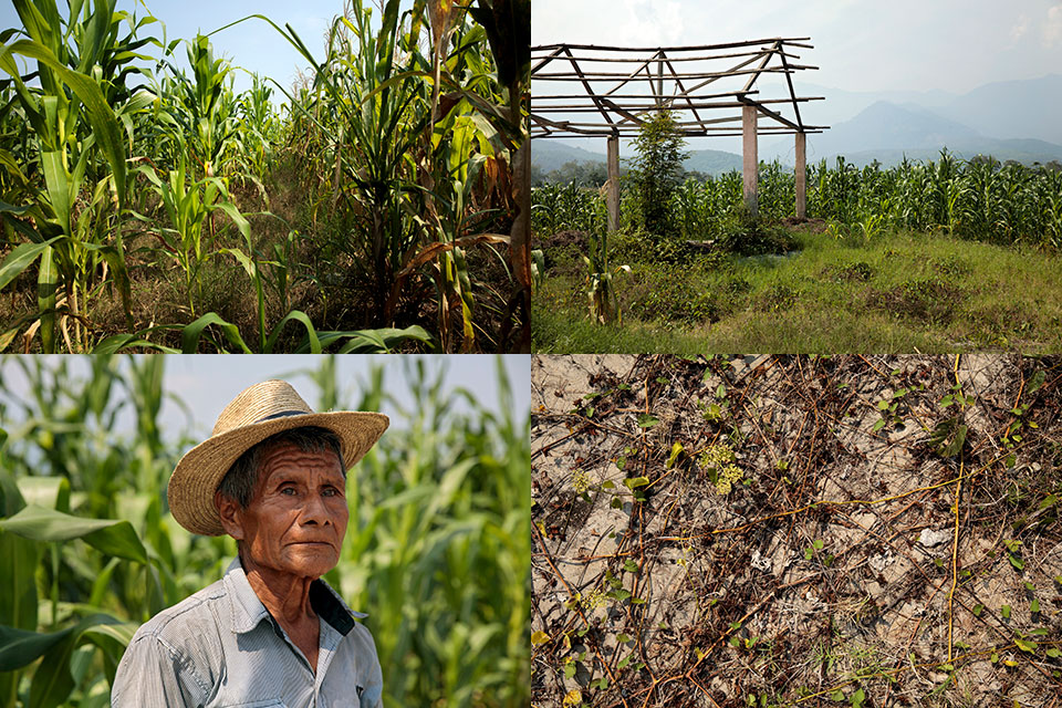 Scenes from Finca Tinajas, site of mass graves, where cornfields, broken concrete patches, overgrowth and the farmhouse used by the military stand now. Military killings of civilians took place there in the 80s, exhumations occurred in 2012, and remains from 51 bodies were found on-site. Don Pablo, farmworker who helped identify bodies . Photos: Ryan Brown