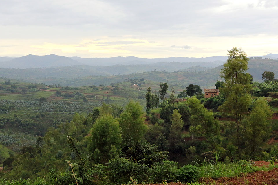 The agricultural sector accounts for a third of Rwanda’s GDP. Photographed here, Cyahinda, southern Rwanda. Photo credit: UN Women/ Sandra Hollinger