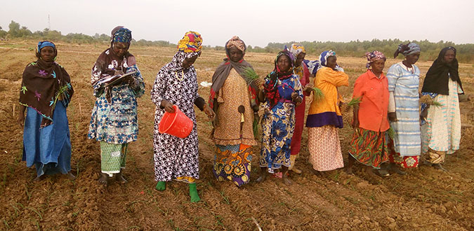 Members of the women’s cooperative use climate-resilient organic compost and biopesticides in their farm. Photo: UN Women