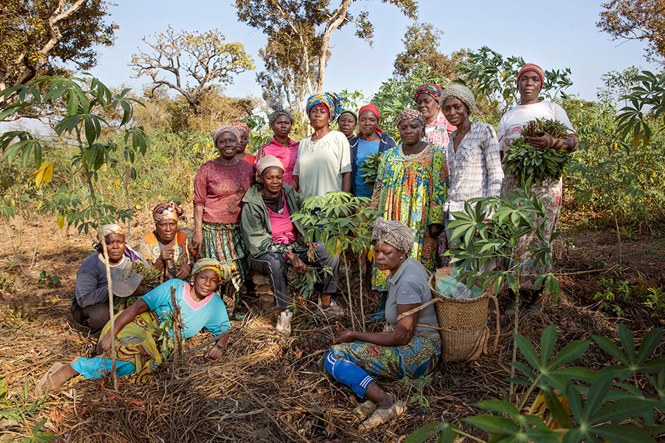Members of SCOCCOMAD pose for a group photo near a section of their cassava crop. Photo: UN Women/Ryan Brown