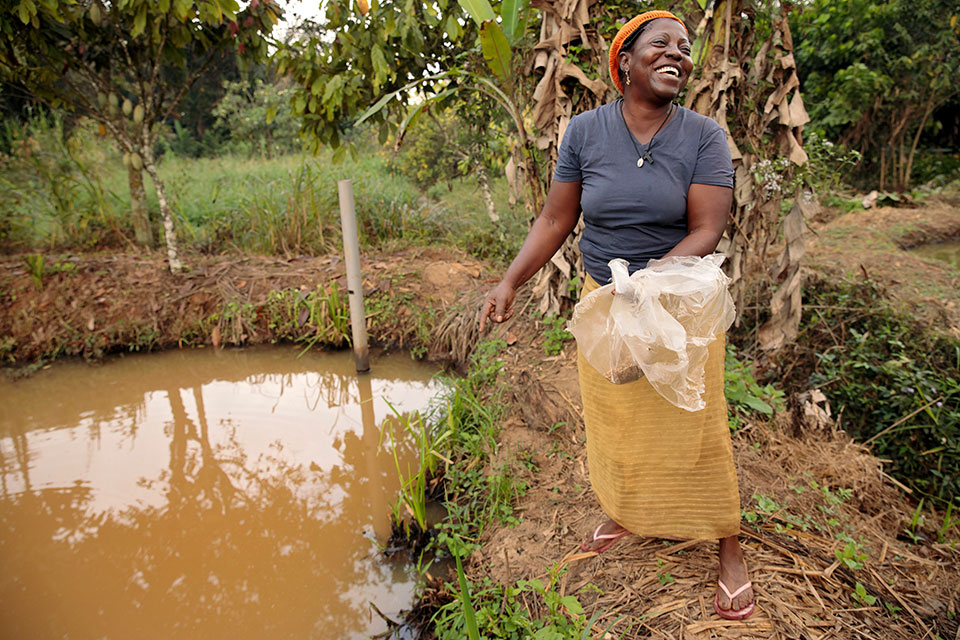 Mereng Bessela arrives in the early morning to feed her fish in four small adjacent ponds before heading to open her restaurant. She says this is her favorite part of her day. “Sometimes I feel so happy that I forget the time and I stand there watching them for an hour, forgetting that I must start cooking at the restaurant!” Photo: UN Women/Ryan Brown