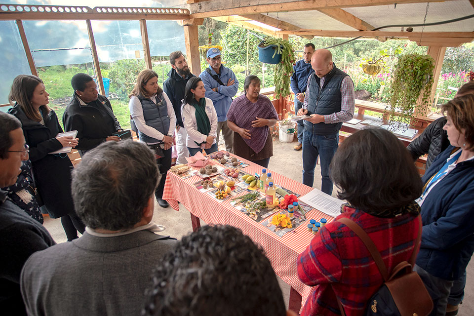 Executive Boards of UN Women, UNICEF, WFP visited sustainable organic farming project in Nariño, Colombia. Photo: UN Women/Luis Ponce