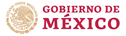 Gobierno de Mexico