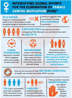 Intensifying global efforts for the elimination of female genital mutilation