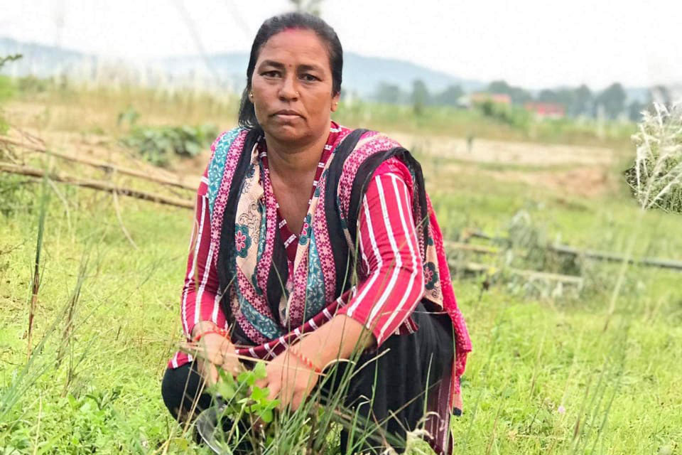 Nirmala Pariyar working on a farm inHetauda, Makwanpur District. Photo: Srijana Nepal