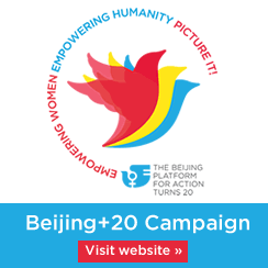 Visit the website for the Beijing+20 campaign