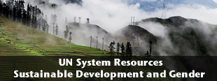 UN System Resources on Sustainable Development and Gender