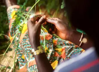 The road to a sustainable tomorrow: Tracking a COVID-19 gender-sensitive and green recovery