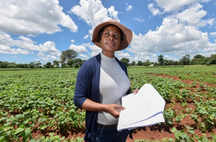Trials of drought tolerant beans in Malawi, which in 2016 was suffering from its worst drought in three decades. Photo: CIAT/NeilPalmer.