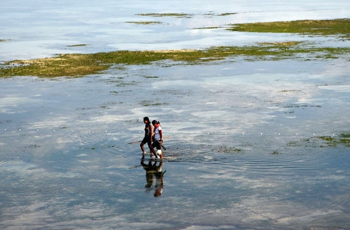 Woman fishing in Dili, Timor-Leste