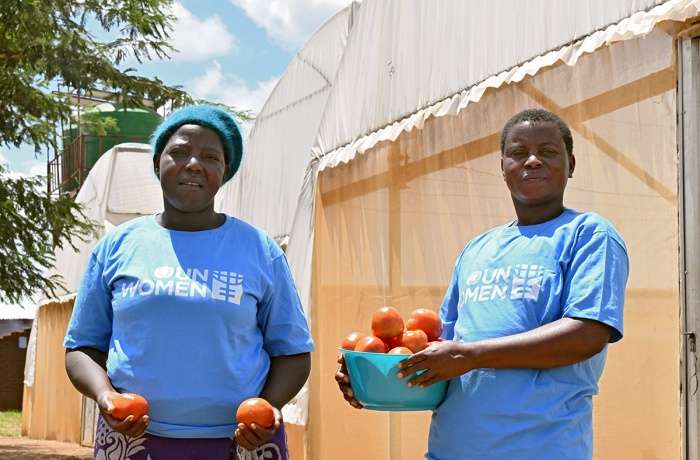 Ruth Kampatura (left) and Prose Mgundamavu are seen harvesting tomatoes in the Kumbuku greenhouses in Lilongwe, Malawi.
