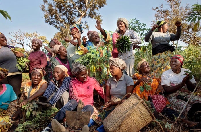 A women’s farming cooperative in the township of Yoko, Cameroon, a beneficiary of UN Women’s Gender Road Project. UN Women estimates that, in sub-Saharan Africa, climate change could increase the number of women in poverty by as many as 93 million, and the numbers suffering food insecurity by 105 million, by 2050. Photo: UN Women/Ryan Brown.