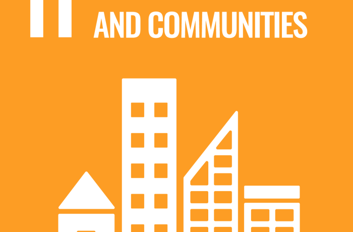 SDG 11 icon