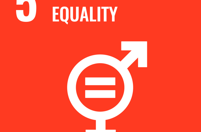 SDG 5 icond