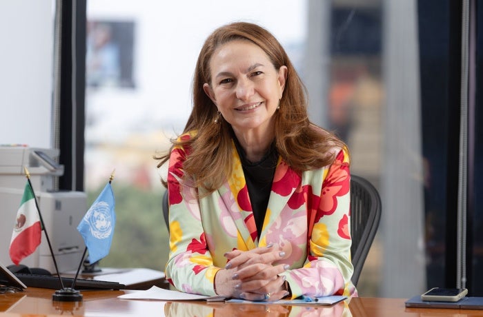 Moni Pizani Orsini, Representante de ONU Mujeres en México en la oficina sede del país.   ONUMujeres/ Dzilam Méndez 