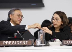 ECOSOC Elects Executive Board Members of UN Women