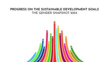 The News Global gender equality in 2023: Urgent efforts needed to reach 2030 goals