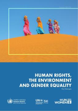 Human rights, the environment, and gender equality: Key messages