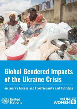 Global gendered impacts of the Ukraine crisis on energy access and food, security, and nutrition