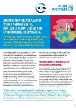 CSW66 agreed conclusions and ways forward for addressing VAWG and climate change linkages in policies, decision making and programming