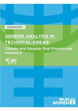 Gender Analysis in Technical Areas: Climate and Disaster Risk Finance and Insurance