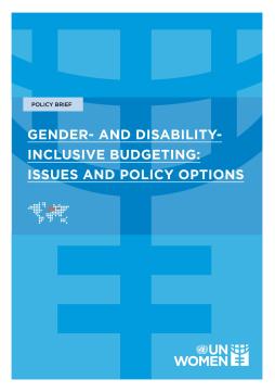 Drawing on a selection of country experiences, this policy brief identifies emerging practices on gender and disability-inclusive budgeting.