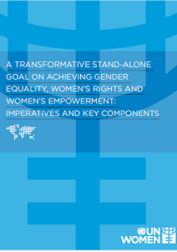 Cover of UN Women long paper on a transformative stand-alone goal on achieving gender equality