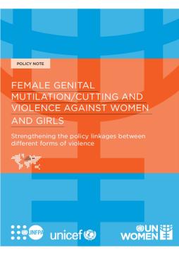 Female genital mutilation/cutting and violence against women and girls: Strengthening the policy linkages between different forms of violence