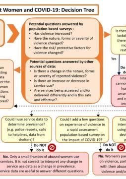 Decision tree: Data collection on violence against women and COVID-19