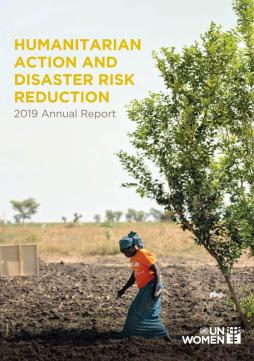 Humanitarian action and disaster risk reduction: 2019 annual report