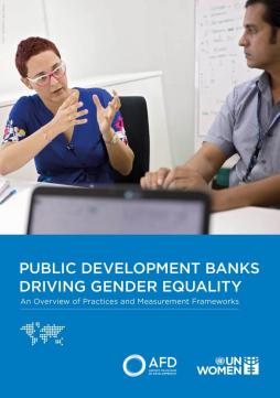 Public development banks driving gender equality: An overview of practices and measurement frameworks