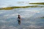 Woman fishing in Dili, Timor-Leste.  Photo: UN Photo/Martine Perret