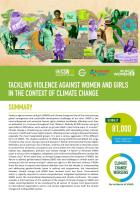 Tackling violence against women and girls in the context of climate change