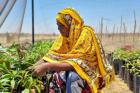 Mariam Ntungu tends her crops. Photo credit: UN Women/So Hee Kim