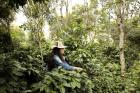 A Colombian coffee grower in the of Nariño region of Colombia. Photo: UN Women/Ryan Brown