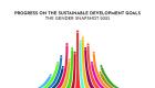 Progress on the Sustainable Development Goals: The gender snapshot 2023 - cover, cropped
