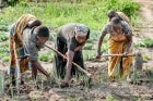 climate care nexus thumbnail