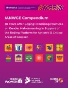 IANWGE compendium – 30 years after Beijing: Promising practices on gender mainstreaming in support of the Beijing Platform for Action’s 12 critical areas of concern