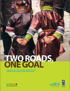 Two Roads, One Goal: Dual Strategy for Gender Equality Programming