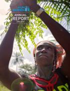 UN Women Annual Report 2016–2017