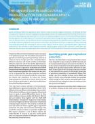The gender gap in agricultural productivity in sub-Saharan Africa: Causes, costs and solutions