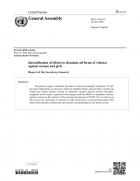 Intensification of efforts to eliminate all forms of violence against women: Report of the Secretary-General