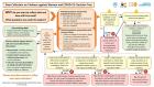 Decision tree: Data collection on violence against women and COVID-19