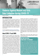Violence against women and girls data collection during COVID-19