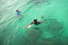 In Seychelles, women  work to find practical solutions to counter the negative impacts of climate change and degradation of ocean environments. Photo: UN Women/Ryan Brown