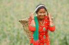 Chandra Kala Thapa works harvesting vegetables. Photo: UN Women/Narendra Shrestha