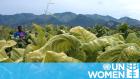 Embedded thumbnail for UN Women Stories | Daphne Bayayi - Tobacco Farmer